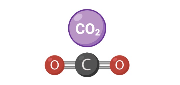 Carbon Dioxide, Carbon Dioxide Definition, What is Carbon Dioxide,