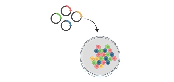 Read more about the article What is Cloning? Definition, Types, Methods, & Examples