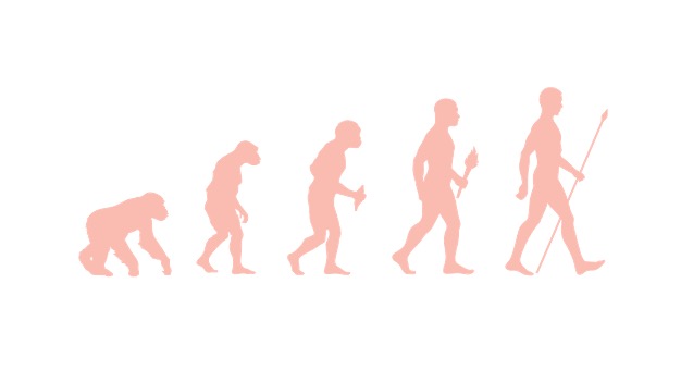 Read more about the article Evolution: Definition, Process, and Examples