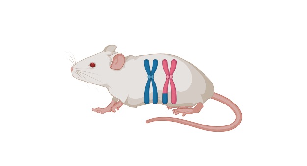 polygenic-inheritance-definition-types-and-examples