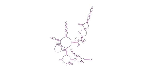 Read more about the article RNA-DNA World Hypothesis: Definition & Examples