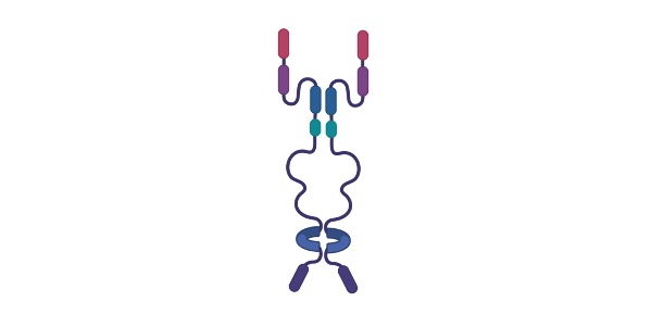 Read more about the article What is Moiety? Definition, Types, and Examples