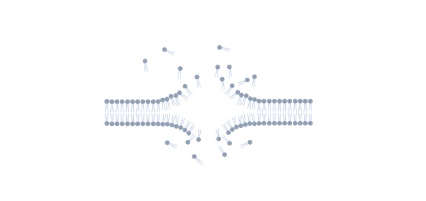 Read more about the article Phospholipids: Definition, Types, and Examples