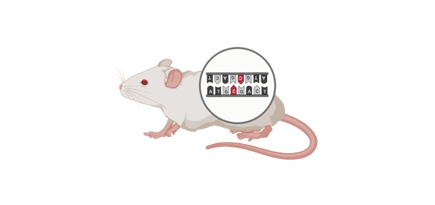 Read more about the article Chromosome Mutations: Definition, Types, Examples