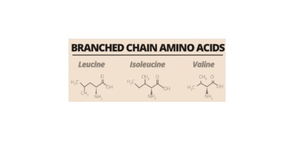 Branched Chain Amino Acids