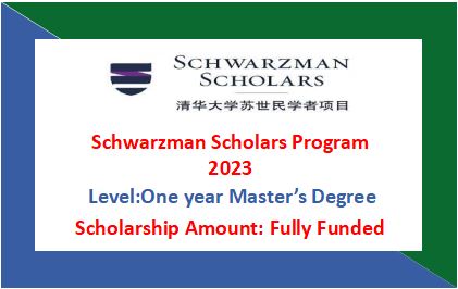 Read more about the article Schwarzman Scholars Program 2024