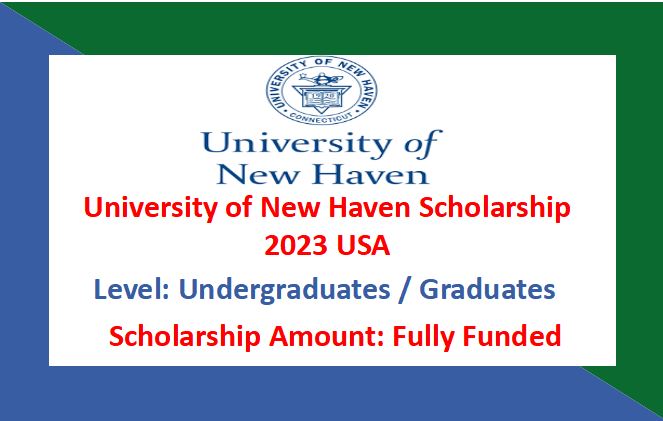 Read more about the article University of New Haven Scholarship 2023 USA