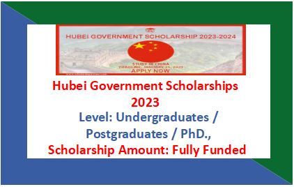 Read more about the article Hubei Government Scholarship 2024