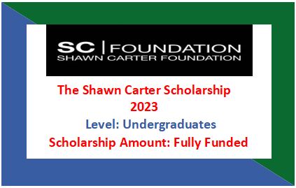 Read more about the article The Shawn Carter Scholarship 2023